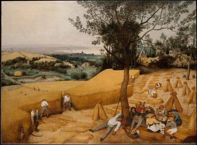Harvest time