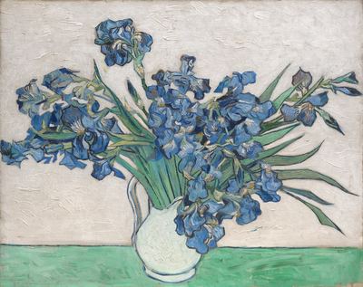 Van Gogh's irises