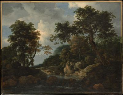 The forest stream