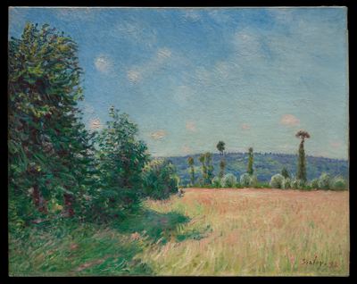 Meadows in morning sun