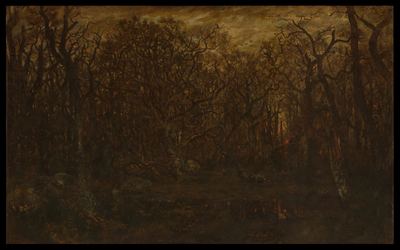 Winter forest at sunset