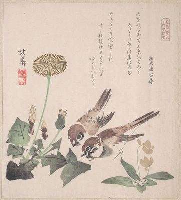 Sparrows and dandelions