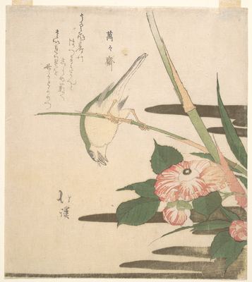 A warbler and camellia
