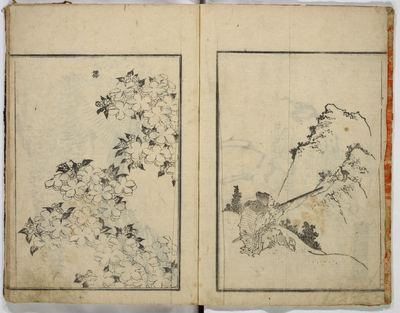 Hokusai's sketches